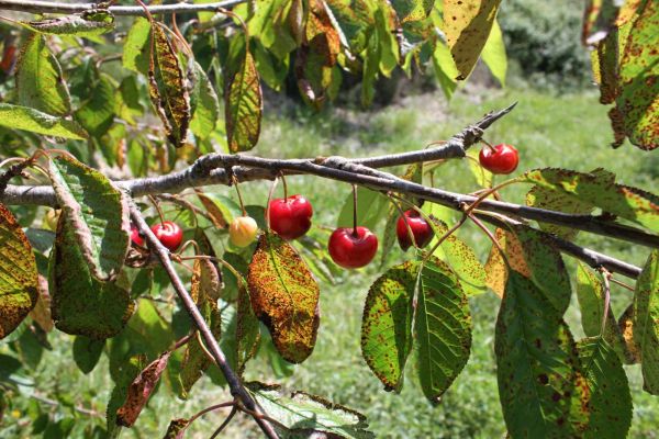 Hier kan een tekst komen die foto image01.jpg beschrijft.