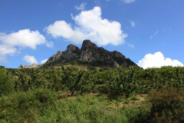 Hier kan een tekst komen die foto image03.jpg beschrijft.